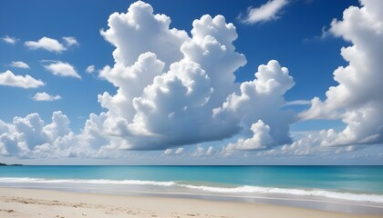 Obraz premium Morning Sunrise Evening Sunset Ocean Palm Coconut Tree Sunlight Peaceful Horizon Background Texture