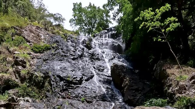 Kondalilla Falls Waterfall in the Lush Rainforest of Sunshine Coast Hinterland, Queensland &ndash; Hiking in Kondalilla National Park