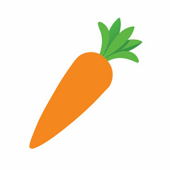 Carrot. Fresh root vegetable. Concepts of food and cooking. Colorful spring vegetable. Natural product. Healthy eating and diet. Design of greeting cards, posters, patches, prints on clothes, emblems.