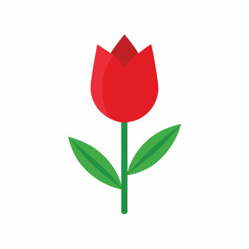 Illustration of a cartoon cute red tulip. red tulip symbol. pred tulip icon. white background