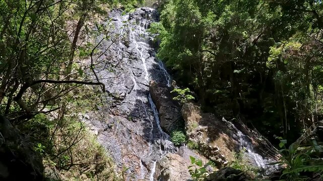 Kondalilla Falls Waterfall in the Lush Rainforest of Sunshine Coast Hinterland, Queensland &ndash; Hiking in Kondalilla National Park