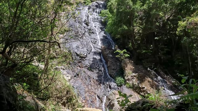 Kondalilla Falls Waterfall in the Lush Rainforest of Sunshine Coast Hinterland, Queensland &ndash; Hiking in Kondalilla National Park