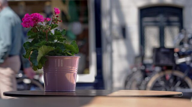  Bright pink flowers on outdoor table as bikes pass by in a lively caf&eacute; setting