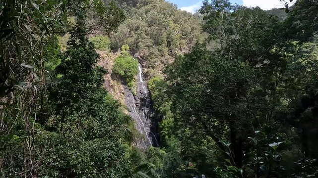 Kondalilla Falls Waterfall in the Lush Rainforest of Sunshine Coast Hinterland, Queensland &ndash; Hiking in Kondalilla National Park