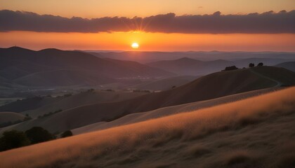 Obraz premium Morning Sunrise Evening Sunset Ocean Palm Coconut Tree Sunlight Peaceful Horizon Background Texture