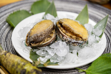 Fresh Abalone on a cold plate with ice on a wooden tray.Raw Abalones fresh seafood.