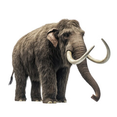 Obraz premium Woolly Mammoth: An Extinct Giant on Transparent Background