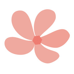 pink flower on a white background