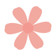 pink flower isolated on white background