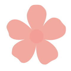 pink flower isolated on white background