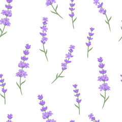 Floral seamless pattern with lavender flowers. Botanical background. Vector cartoon flat illustration.