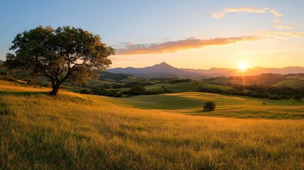 Golden Hour over Rolling Hills and Lone Tree.