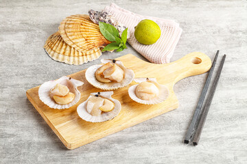 Raw natural scallop in its shell