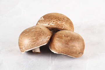 Raw brown champignon for cooking