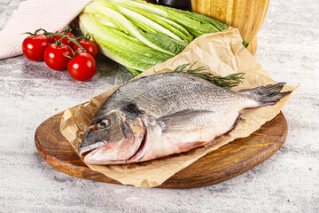 Raw dorada fish served rosemary