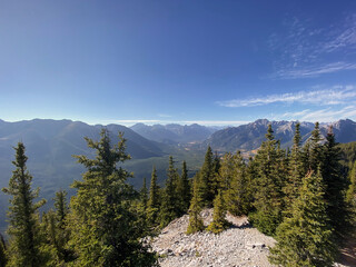 Mountain landscape with coniferous forest and blue sky in summer. Banff, Alberta, Canada. 