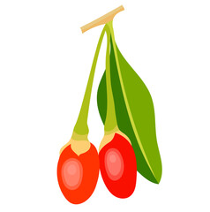 Fresh Goji Berries Fruit with Leaves Illustration Isolated on White Background
