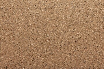 Close-up view of a textured cork surface with natural tones and fine granules during daylight