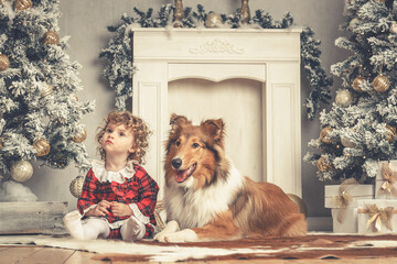 Schöne rough Collies Langhaar amerikanisch sable white mit 1 hübschen Kleinkind Mädchen in Weihnachtskulisse Var. 4