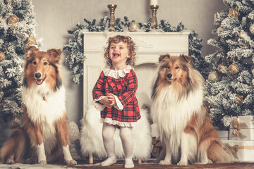 2 schöne rough Collies Langhaar amerikanisch sable white mit 1 hübschen Kleinkind Mädchen in...