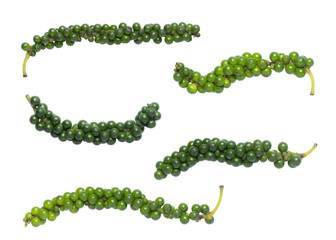 Set of fresh green young peppercorns isolated on transparent background