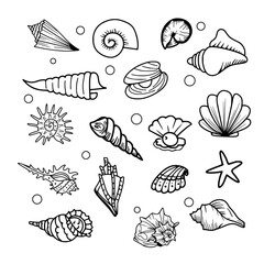 seashell doodle clipart element bundles vector illustration