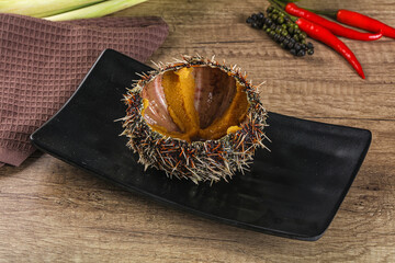 Delicous luxury raw sea urchin