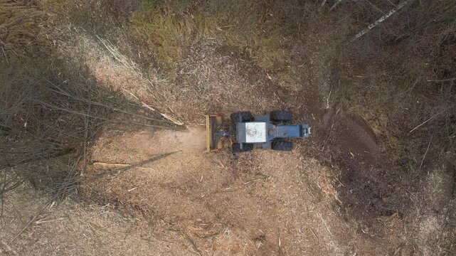 Aerial View of Forestry Mulcher Clearing Trees in Woodland Area