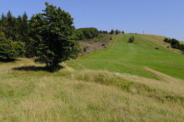 Obraz premium Landschaft am Himmeldunkberg im Bioshärenreservat Rhön zwischen Hessischer Rhön und Bayerischer Rhön, Deutschland