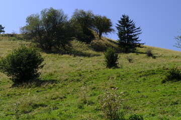 Obraz premium Landschaft am Himmeldunkberg im Bioshärenreservat Rhön zwischen Hessischer Rhön und Bayerischer Rhön, Deutschland