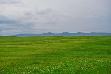 Green wide pasture in the Balkaria mountains