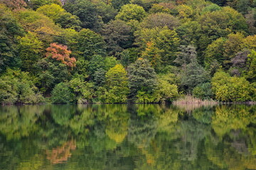 Autumn forest on the shore of Blue Lake