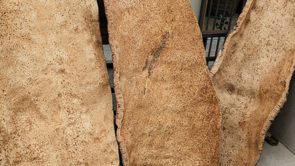 Texture of cork tree bark, peeled cork strips