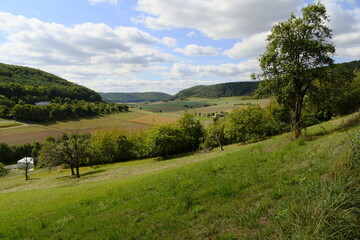Obraz premium Naturschutzgebiet Haarberg zwischen den Weinorten Euerdorf und Wirmsthal , Landkreis Bad Kissingen, Franken, Unterfranken, Bayern, Deutschland