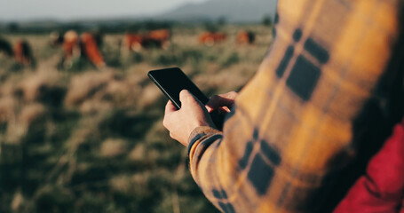 Man, hands and farmer with phone in nature, agriculture and chat to client for organic beef deal....