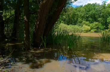 Der Reutsee bei Sulzdorf an der Lederhecke, Landkreis Rhön-Grabfeld, Unterfranken, Bayern, Deutschland