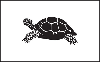 Obraz premium turtle silhouette.