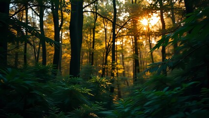 Obraz premium Colorful Abstract Deep Forest Scene - Vibrant Nature Photography