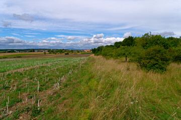 Obraz premium Blick zur Gemeinde Rannungen, Landkreis Bad Kissingen, Unterfranken, Bayern, Franken, Deutschland