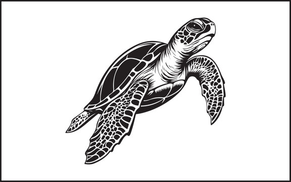 turtle silhouette.