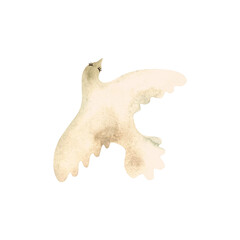 White dove flying. Symbol of peace and love. Isolated watercolor illustration for postcard. Clipart.