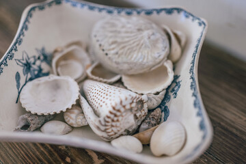 Das Bild zeigt eine Sammlung von Muscheln und Schneckenhäusern, die in einer dekorativen Schale mit blauen Verzierungen arrangiert sind. Die Schale steht auf einer hölzernen Oberfläche.