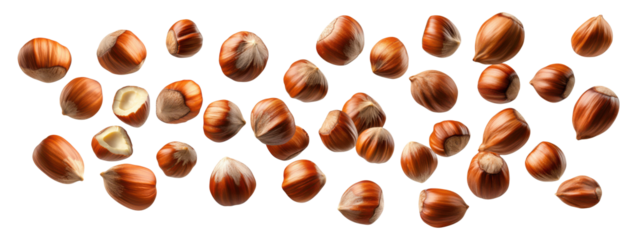 PNG set of scattered hazelnuts in various positions