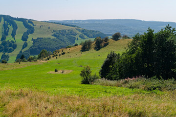 Fototapeta premium Landschaft am Himmeldunkberg im Bioshärenreservat Rhön zwischen Hessischer Rhön und Bayerischer Rhön, Deutschland
