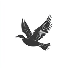 Obraz premium Silhouette of a bird in flight, wings spread wide.