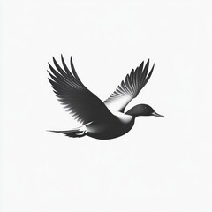 Obraz premium Black and white bird in flight, isolated on white background.