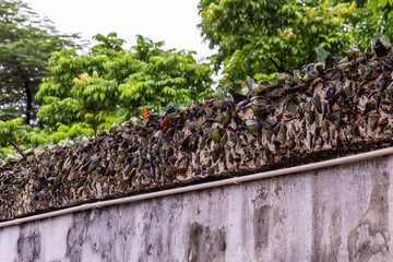 Top of a cement prison wall with pieces of sharp broken glass on top of it, Hanoi, Vietnam.