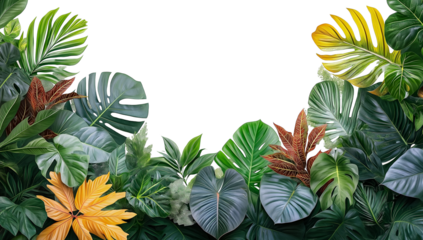 Tropical Green Leaves Frame Isolated on White Background