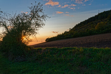 Naturschutzgebiet Haarberg zwischen den Weinorten Euerdorf und Wirmsthal im Abendlicht, Landkreis Bad Kissingen, Franken, Unterfranken, Bayern, Deutschland