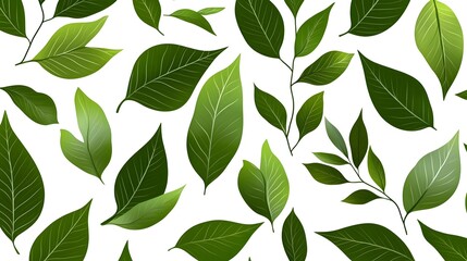 lush green leaves pattern, botanical design - botanical illustrations